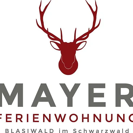 Mayer Schluchsee